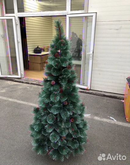 Елка/ Сосна в наличии