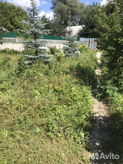 Газонокосильщик