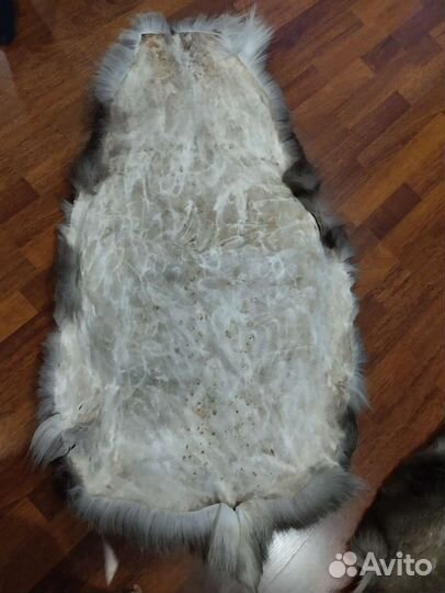 Шкура оленя