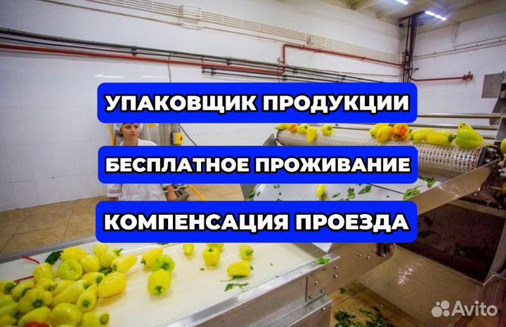 Без опыта/Сортировщик+Аванс каждую неделю