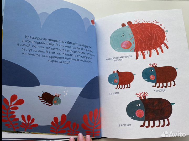 Жизнь минимотов Голден Розамель