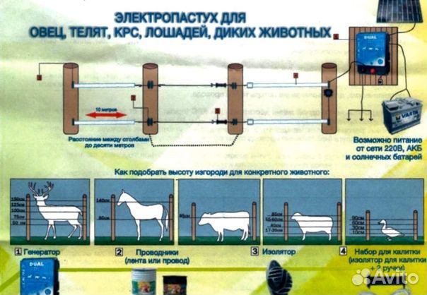 Электропастух для коров, телят, свиней, кроликов