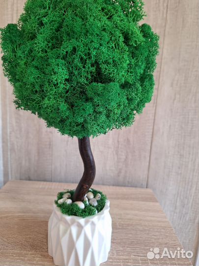 Дерево из мха, в кашпо