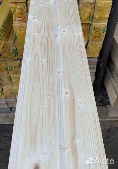 Полок липа сорт «Экстра»