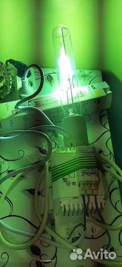 Светило Днат дри мгл