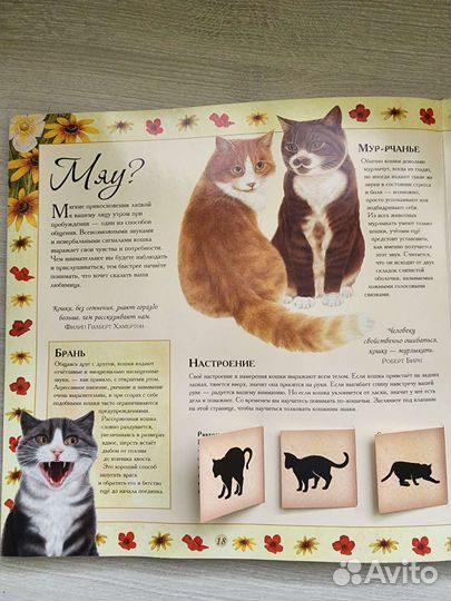 Книги про кошек