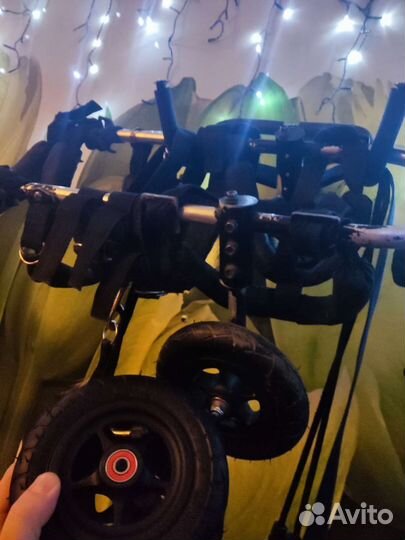 Лучшие Колёса для инвалидной коляски для собак