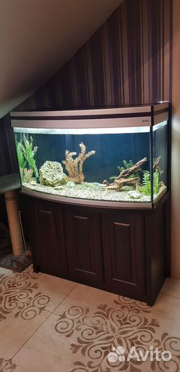 Аквариум с тумбой