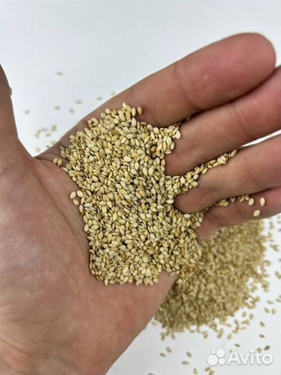 Семена кунжута