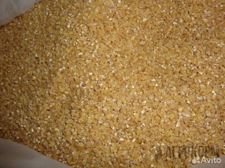 Ячмень дробленый