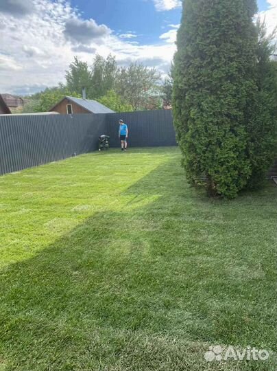 Укладка газона