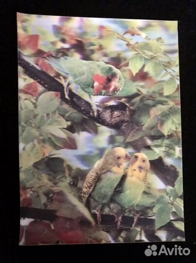 Стерео открытки 1967 Япония