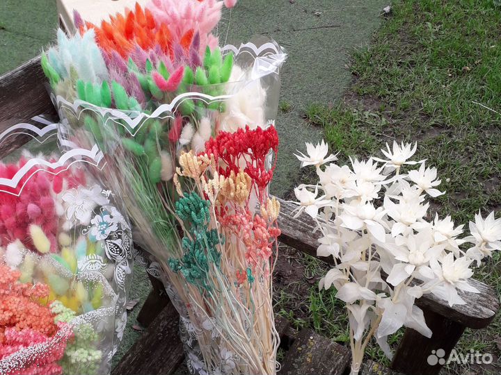 Лагурус сухоцветы