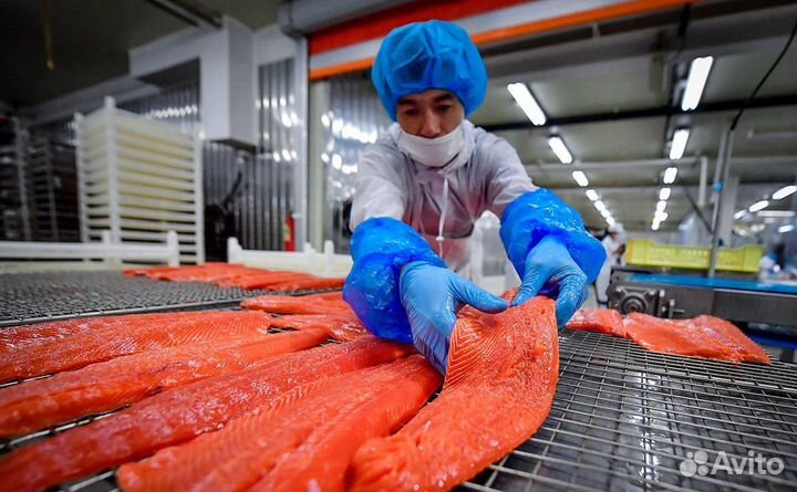 Фасовщик морепродуктов вахта