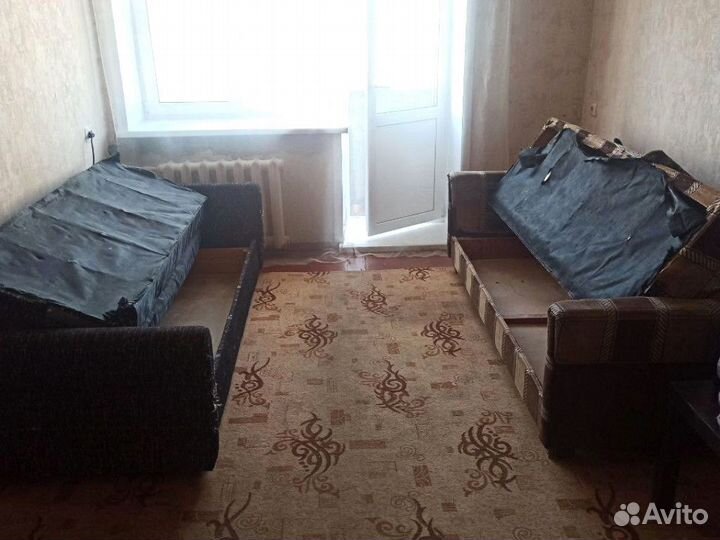 Дезинфекция. сэс. Уничтожение клопов. Грызуны