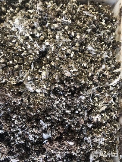 Перепелиный помет