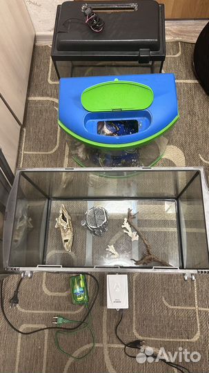 Аквариумистика