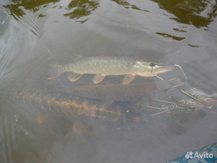 Кукан метал.(трос) С 9-Ю карабинами 