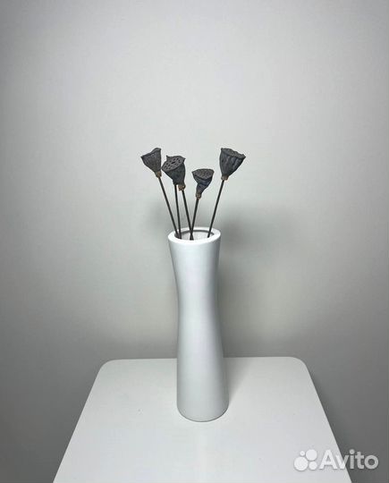 Лотос сухоцвет на ножке. Разные размеры