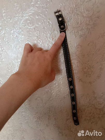 Ошейник для собак