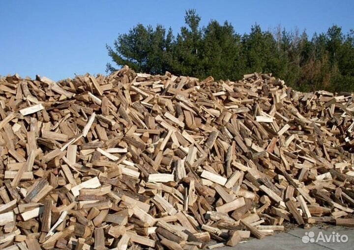 Дрова супер качества