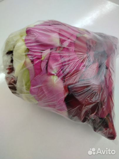 Лепестки роз