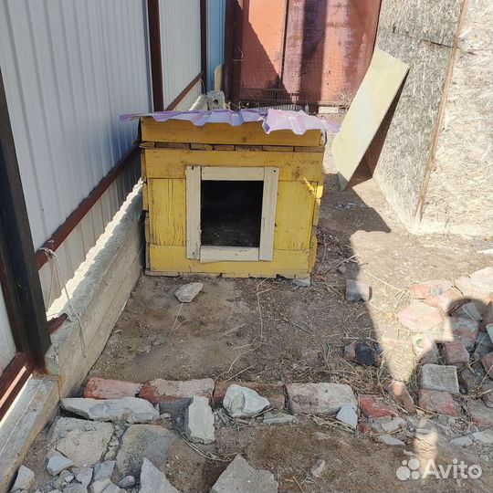 Будка для собаки