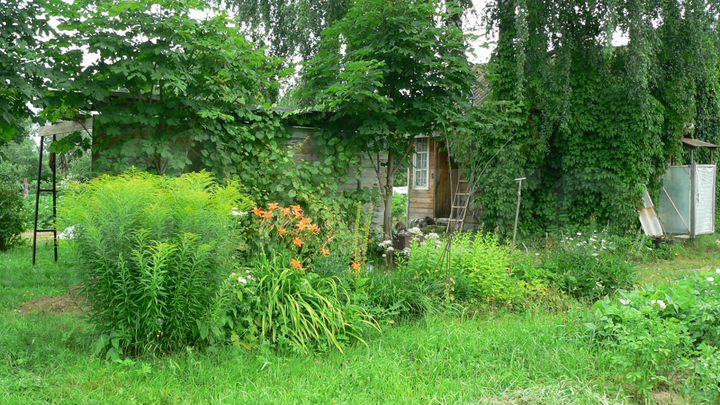 Участок 25 сот. (ИЖС)