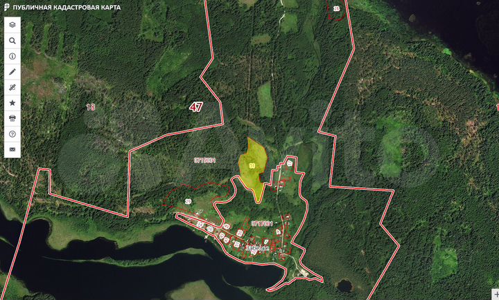 Участок 4,7 га (СНТ, ДНП)
