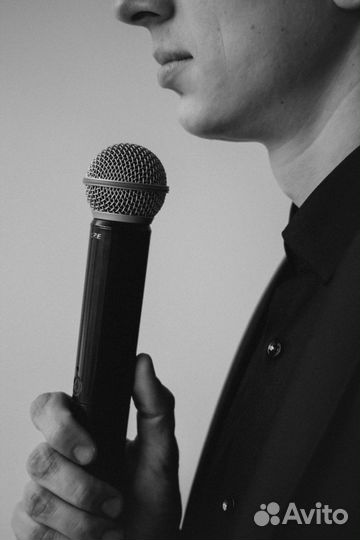 Ведущий Вороновский Андрей