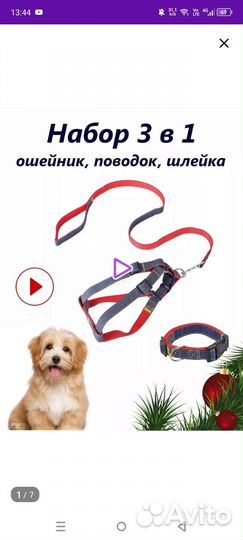 Ошейник, поводок, шлейка