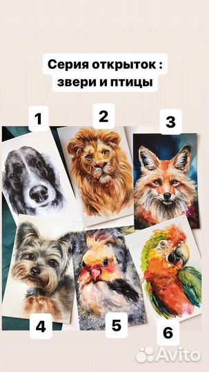 Открытки горы котики цветы море