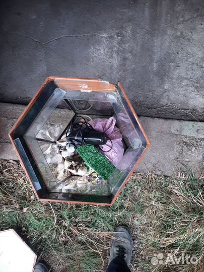 Продается аквариум