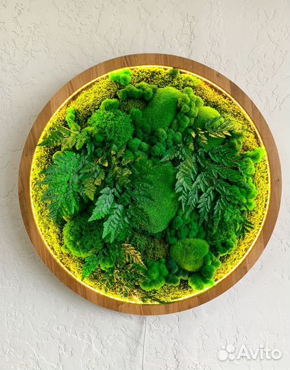 Панели панно фитостены мох стабилизированный