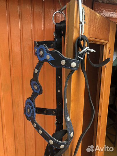 Уздечка для лошади