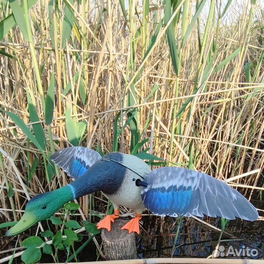 Махокрыл Утка приманка