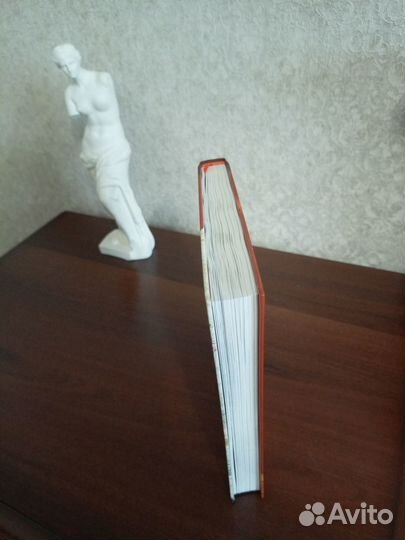 Федор Конюхов. Мои путешествия. Следующие 10 лет