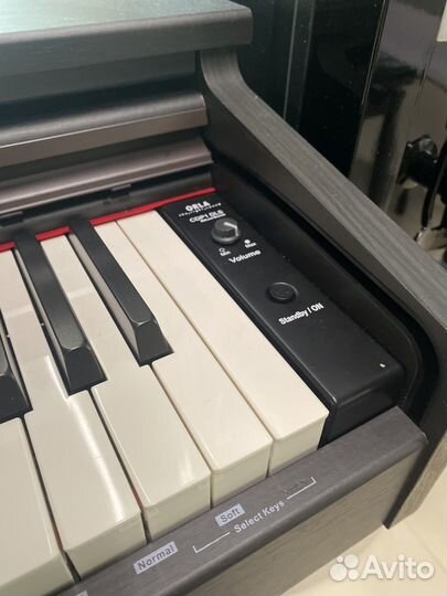 Orla CDP1 Цифровое пианино