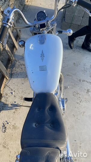 Suzuki intruder 400