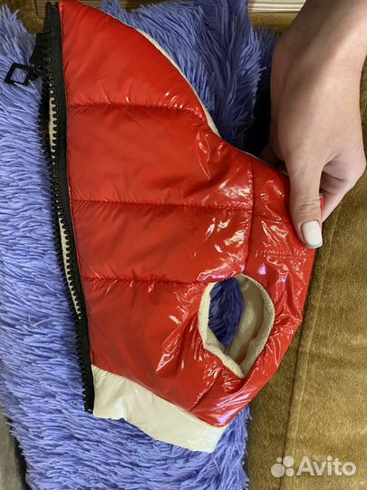 Куртка для щенка(весна)