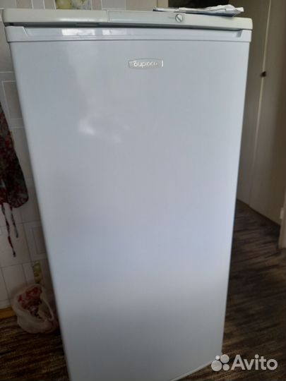 Холодильник Бирюса 10