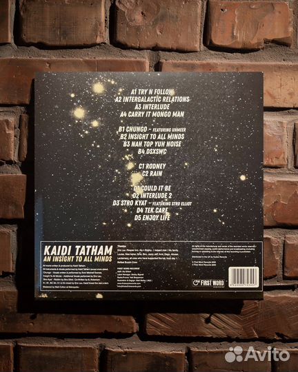 Kaidi Tatham - An Insight To All Minds