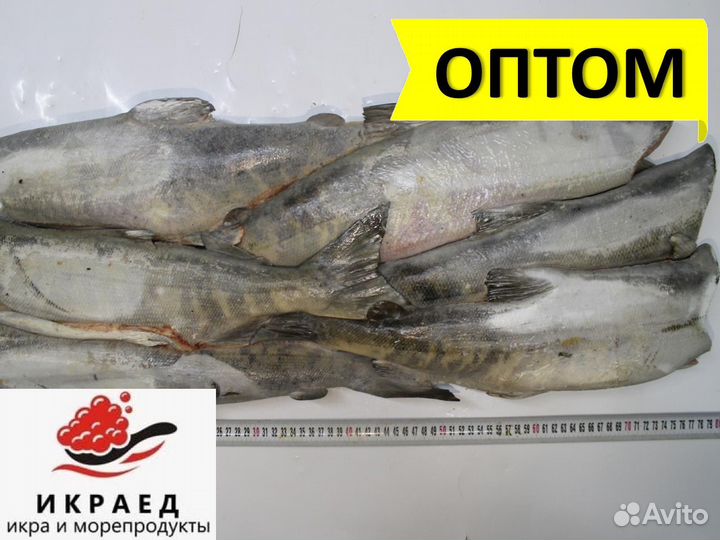 Кета пбг Оптом