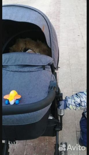 Коляска 2 в 1