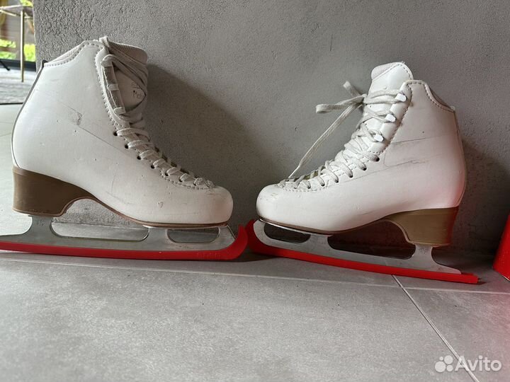 Фигурные коньки edea motivo230