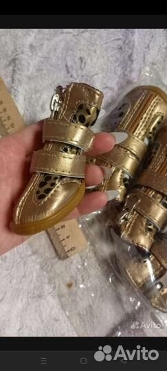 Когтеточка, обувь собачке, клетка