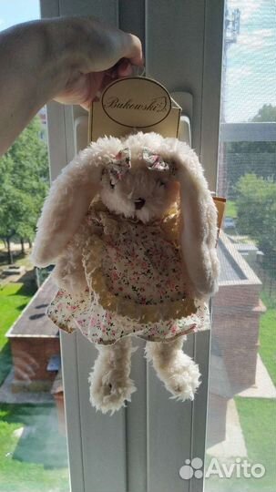 Заяц новый Bukowski