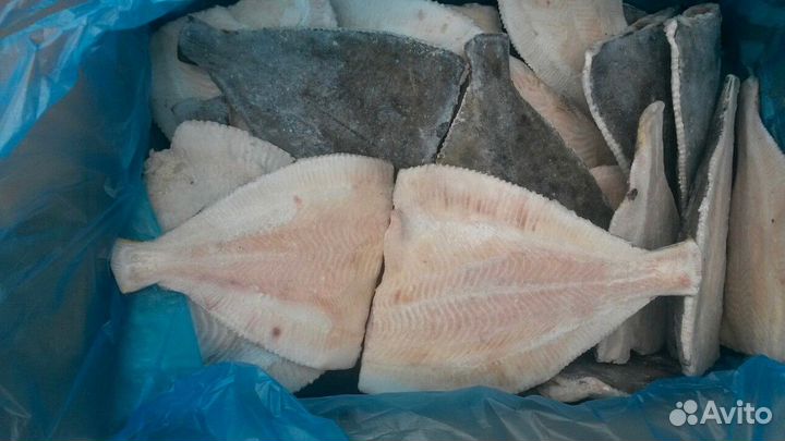 Камбала свежемороженая