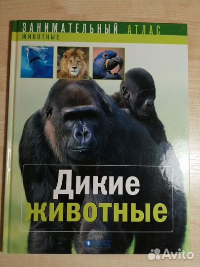 Занимательный атлас. Дикие животные