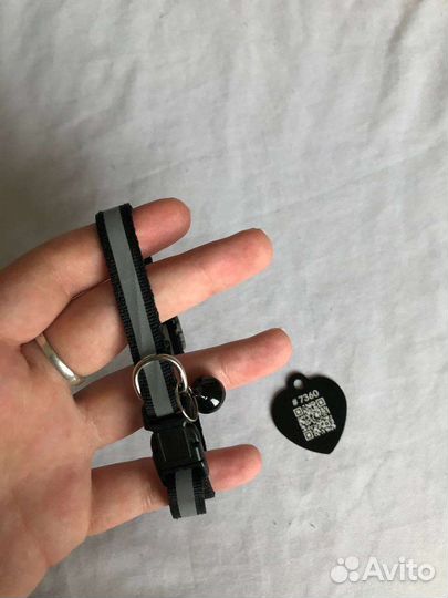 Ошейеик для животных с привязкой номера